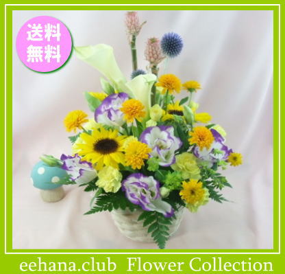8月の誕生花