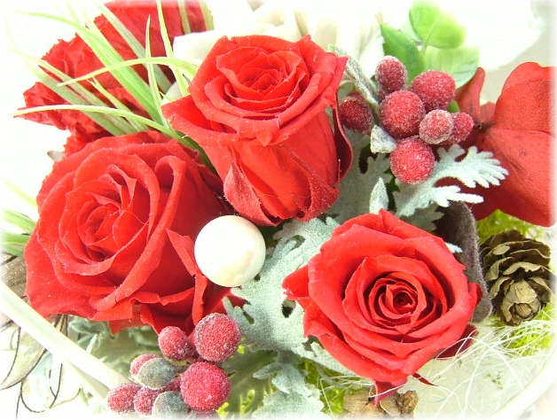 6月の誕生花