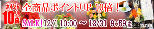 ポイントＵＰ企画