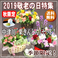 敬老の日特集