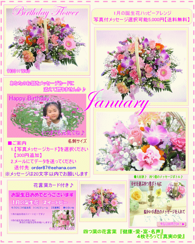 1月の誕生花