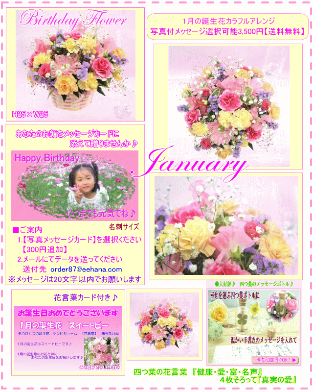 1月の誕生花