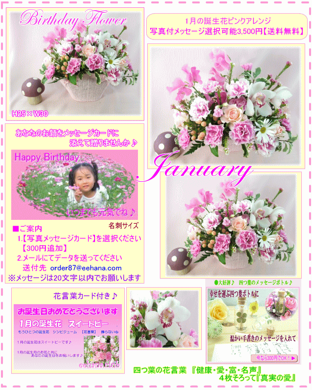 1月の誕生花 ピンクアレンジ3 500円 送料無料 写真付きメッセージ選択可 ネット特価