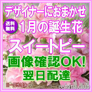 1月の誕生花 デザイナーにおまかせフラワー