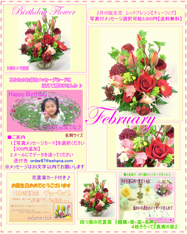 2月の誕生花