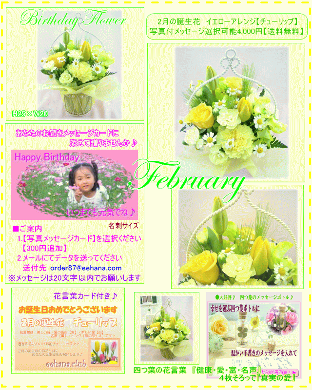 2月の誕生花