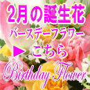 2月の誕生花特集