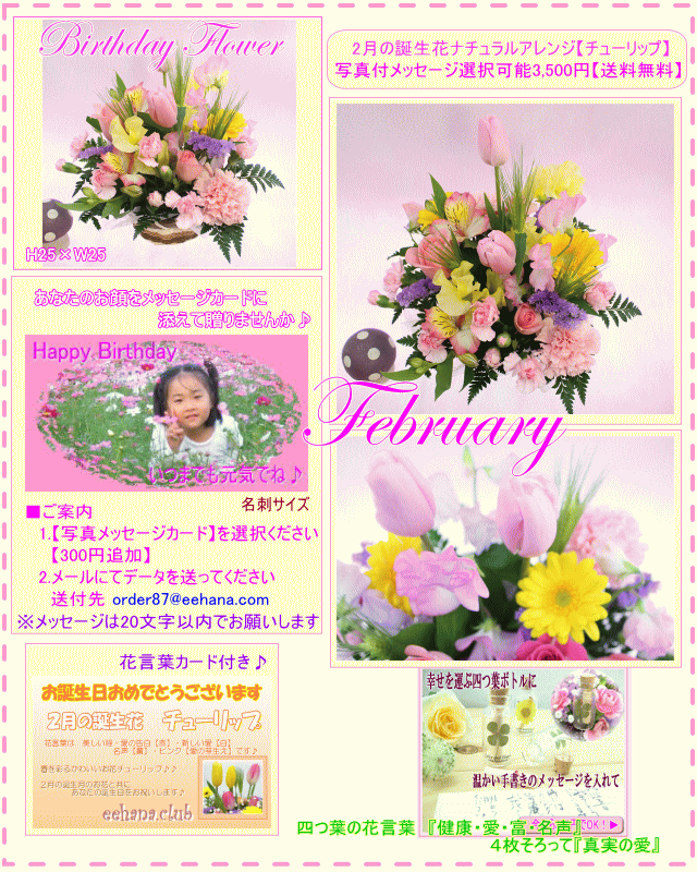 2月の誕生花