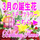 3月の誕生花特集