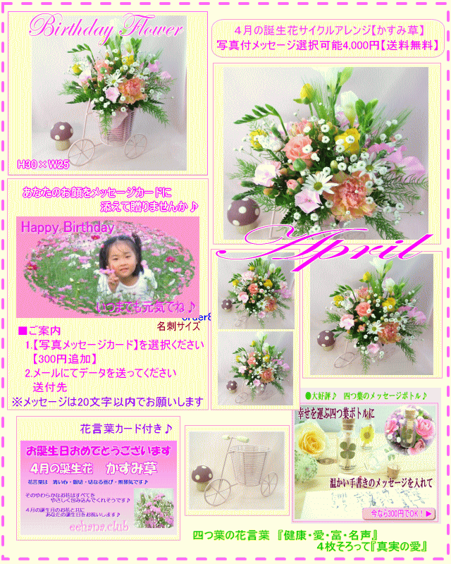 4月の誕生花