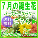7月の誕生花【トルコキキョウ】特集