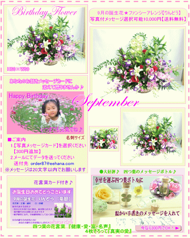 9月の誕生花