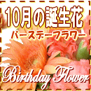 10月の誕生花特集