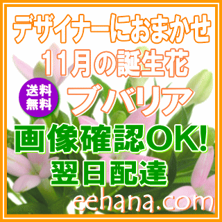 11月の誕生花デザイナーにおまかせフラワー
