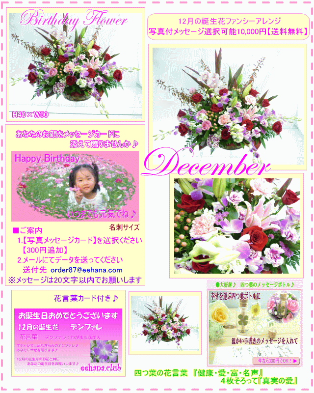 12月の誕生花