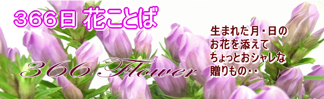 366日の花言葉 1 4月 敬老の日花ギフト9月の誕生花 誕生日 リンドウ お祝い お供え花アレンジ 花束 プリザーブドフラワー特集 送料無料 いい花 コム