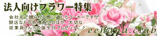 お祝い専用法人向けフラワー