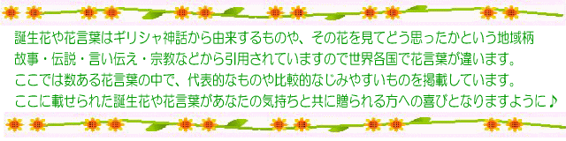 10月の誕生花の花言葉について