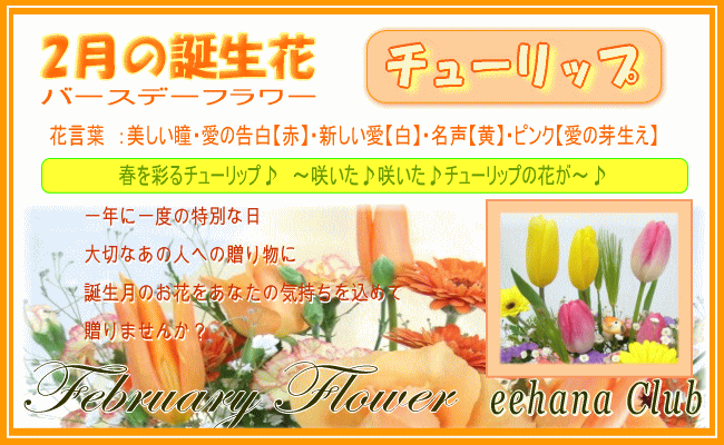 2月の誕生花 ナチュラルアレンジ花言葉付き3 500円 送料無料 チューリップ 四つ葉メッセージボトル選択可 ネット特価