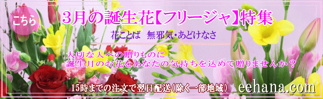 3月の誕生花 デザイナーにおまかせ3 000円 フリージア フラワーアレンジ 花束 ネット特価