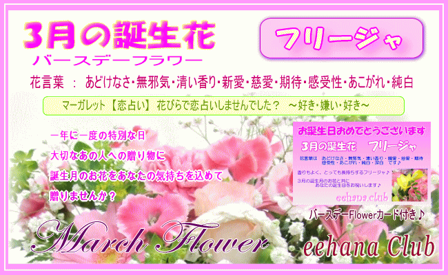 3月の誕生花バースデーフラワー 花ギフト11月の誕生花 誕生日 ブバリア バラ お祝い お供え花アレンジ 花束 プリザーブドフラワー特集 送料無料 いい花コム