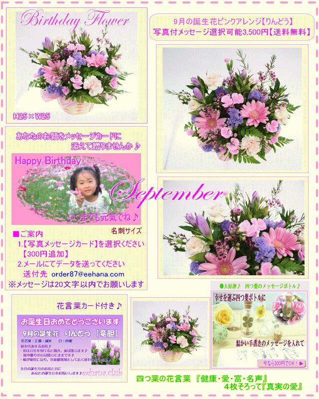 9月の誕生花