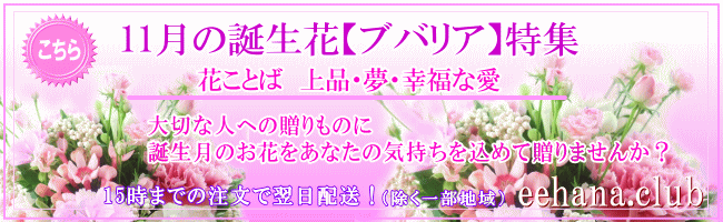 11月の誕生花