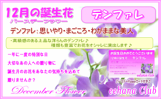 12月の誕生花