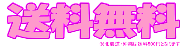 全国どこでも送料無料