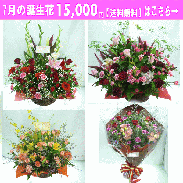 15000円【送料無料】はこちら