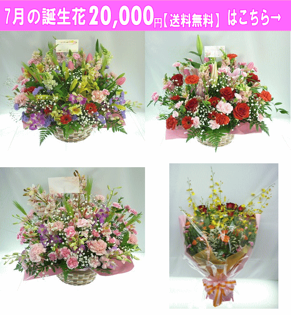 20000円【送料無料】はこちら