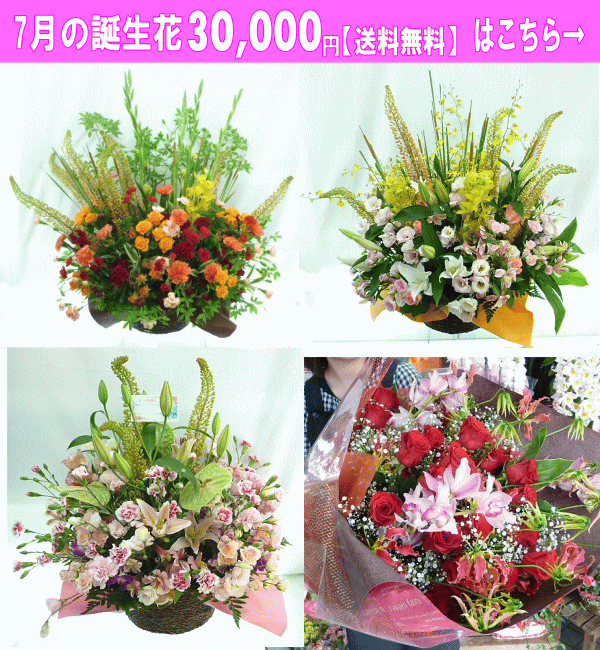 30000円【送料無料】はこちら