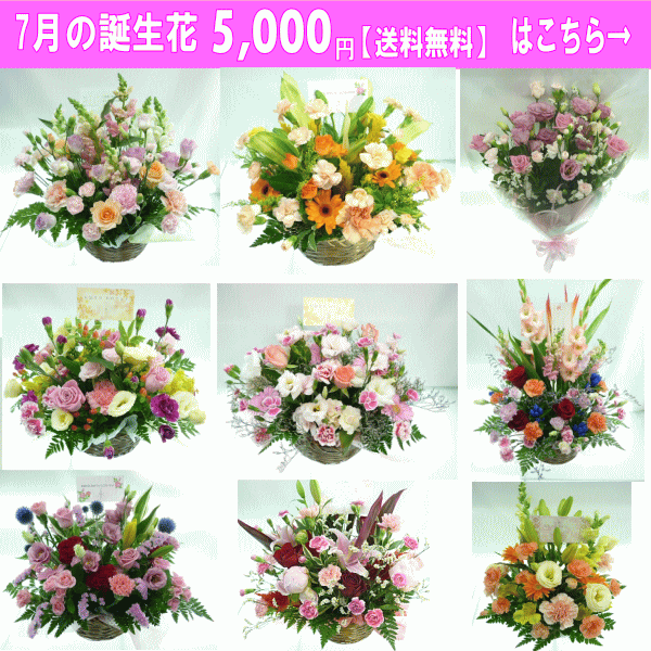 5000円【送料無料】はこちら