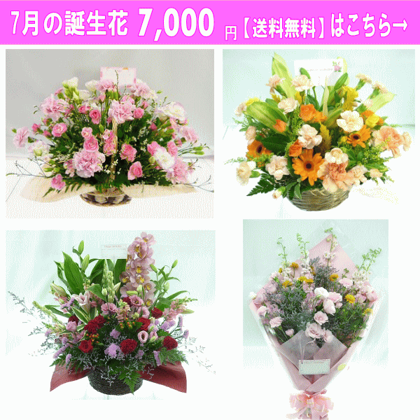 7000円【送料無料】はこちら