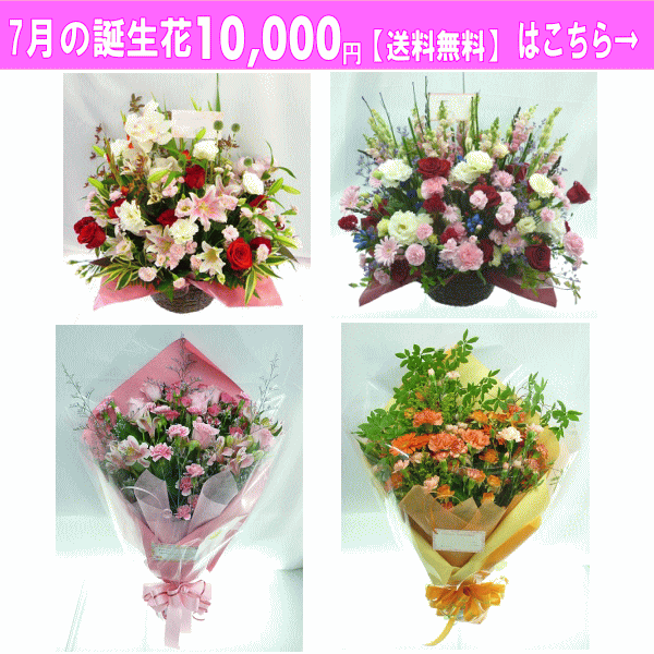 10000円【送料無料】はこちら