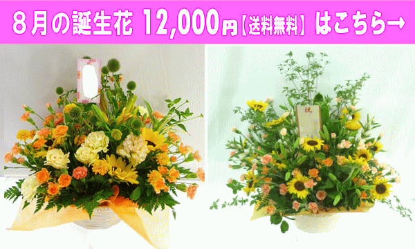 12,000円【送料無料】はこちら
