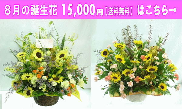 15,000円【送料無料】はこちら