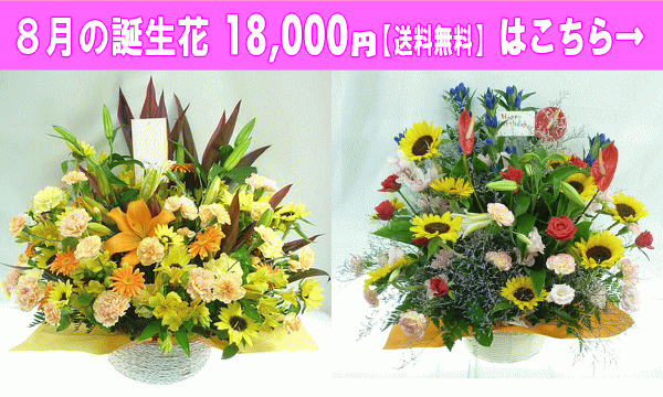 18,000円【送料無料】はこちら