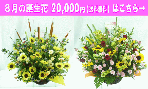 20,000円【送料無料】はこちら