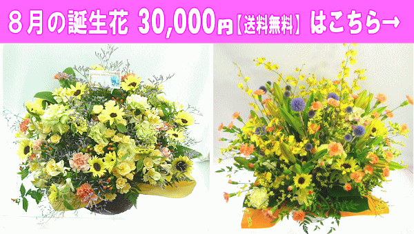 30,000円【送料無料】はこちら