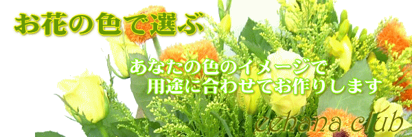 お花の色で選ぶ
</div>
<!-- //カテゴリーヘッダ -->

<!-- centerbox -->
<div class=