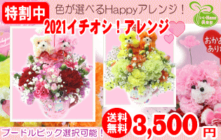 母の日オススメ★Happyアレンジ3,480円【送料無料】"