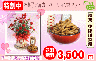 お菓子と赤カーネーション5号鉢のセット！【送料無料】
