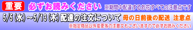 【必ずお読みください】5/8-5/16配送の注意点