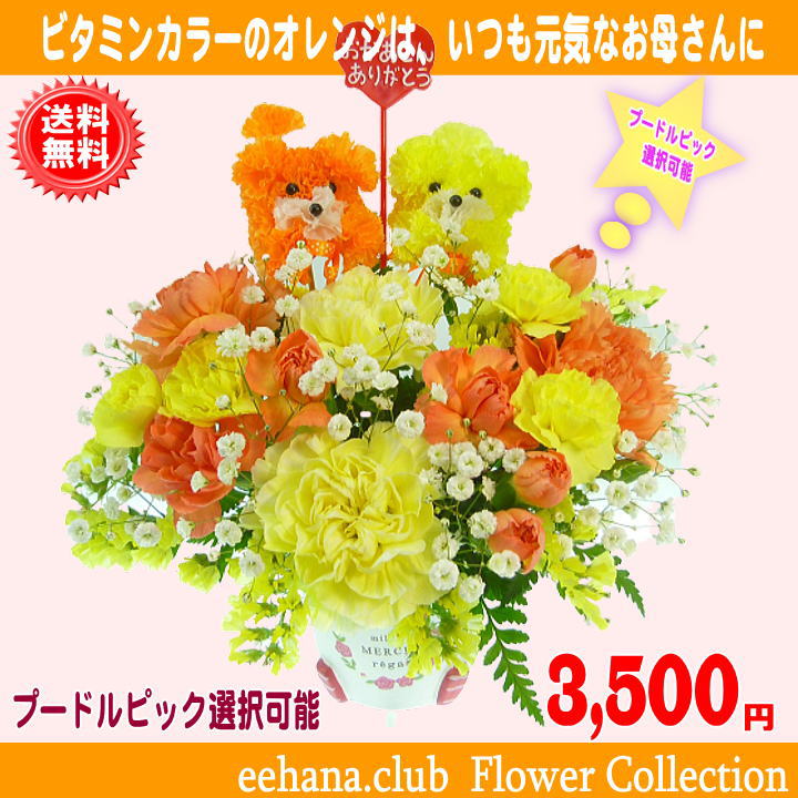 母の日イチオシ!色が選べるHappyアレンジ