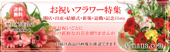 お祝い専用フラワー特集【開店・退職・結婚祝い・新築・出産】