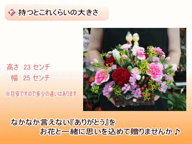 持つとこのくらい