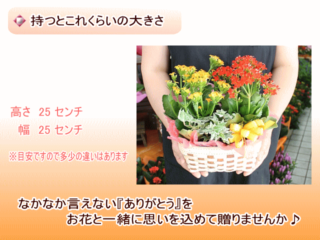 持つとこのくらい