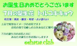 7月の誕生花バースデーカード