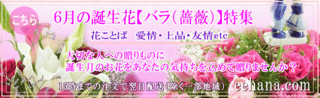花ギフト6月の誕生花 誕生日 バラ お祝い お供え花アレンジ 花束 プリザーブドフラワー特集 送料無料 いい花コム